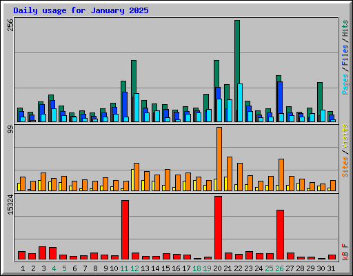 Daily usage for January 2025