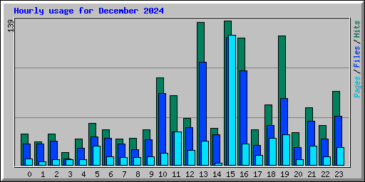 Hourly usage for December 2024