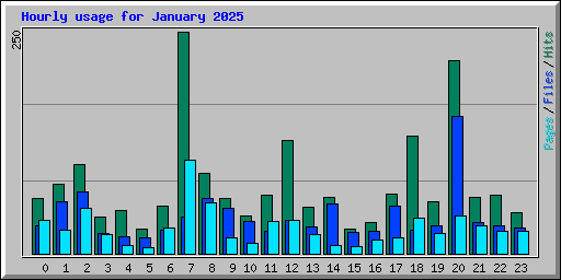 Hourly usage for January 2025