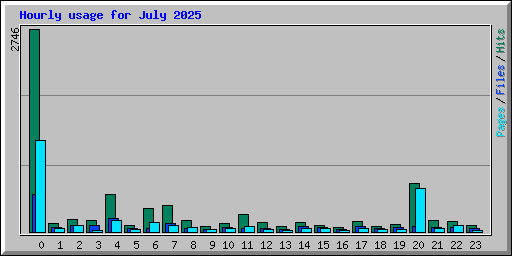 Hourly usage for July 2025
