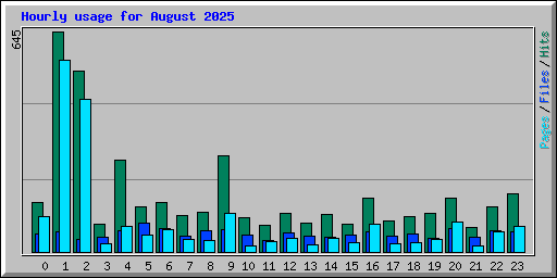 Hourly usage for August 2025