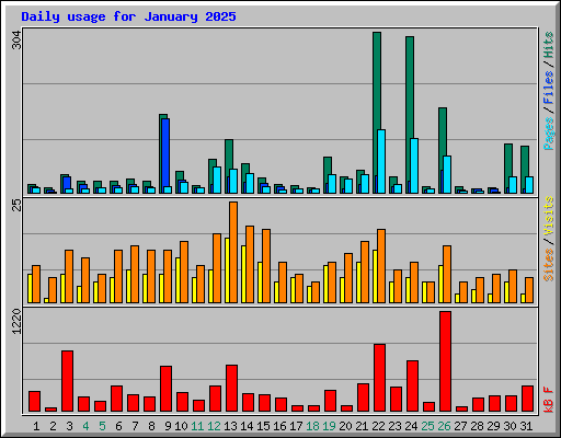 Daily usage for January 2025