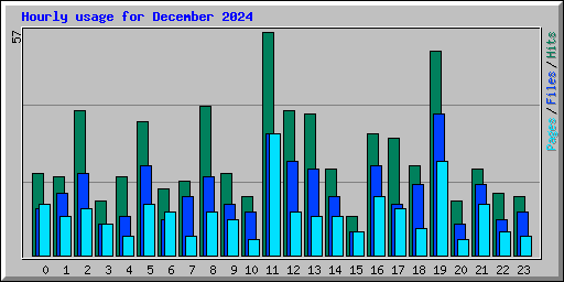 Hourly usage for December 2024