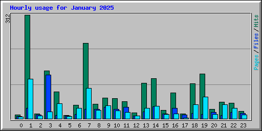Hourly usage for January 2025