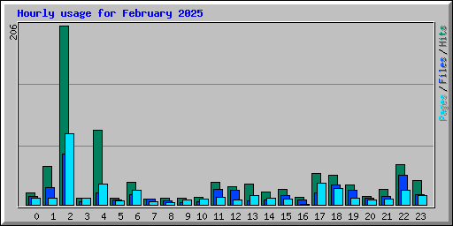 Hourly usage for February 2025