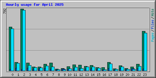 Hourly usage for April 2025