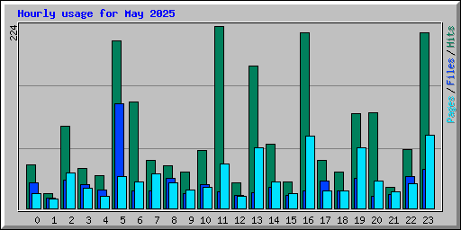 Hourly usage for May 2025