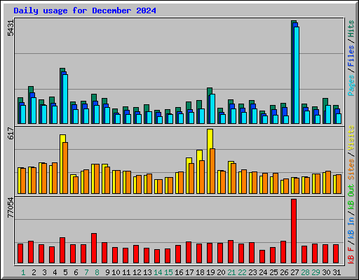 Daily usage for December 2024
