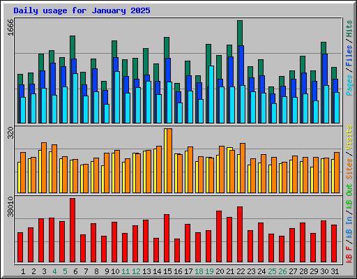 Daily usage for January 2025