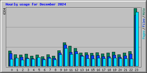 Hourly usage for December 2024
