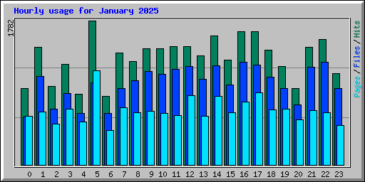 Hourly usage for January 2025