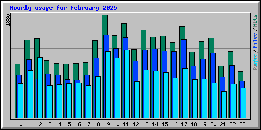Hourly usage for February 2025