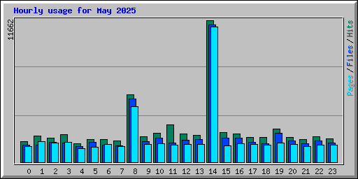 Hourly usage for May 2025