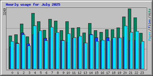 Hourly usage for July 2025