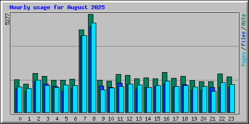 Hourly usage for August 2025