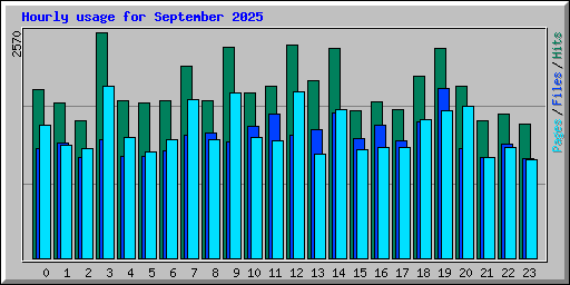 Hourly usage for September 2025