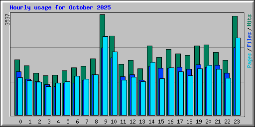 Hourly usage for October 2025