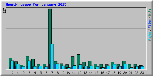 Hourly usage for January 2025