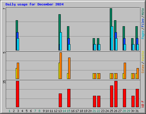 Daily usage for December 2024