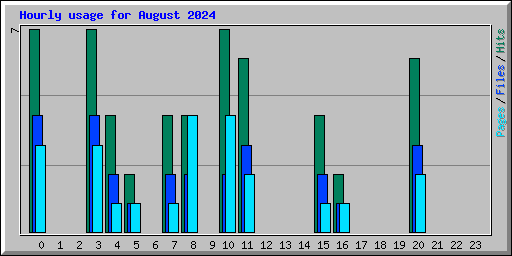 Hourly usage for August 2024