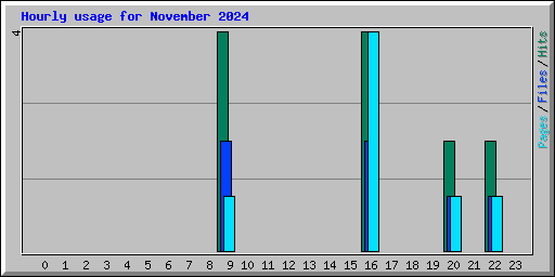 Hourly usage for November 2024