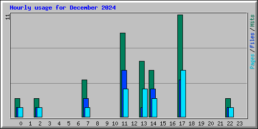 Hourly usage for December 2024