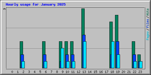 Hourly usage for January 2025