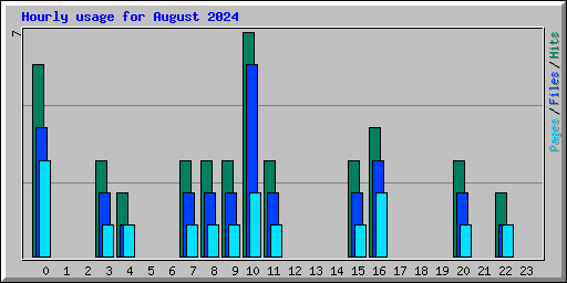 Hourly usage for August 2024