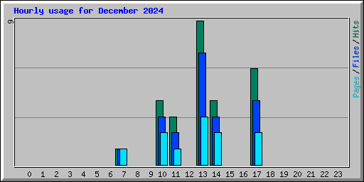 Hourly usage for December 2024