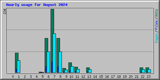 Hourly usage for August 2024