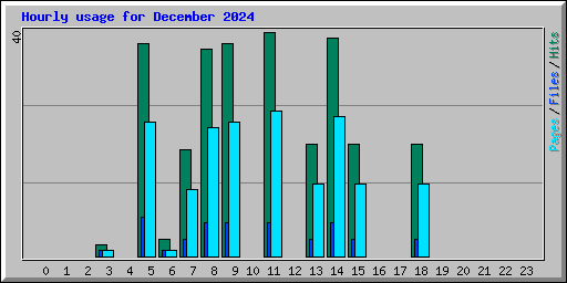 Hourly usage for December 2024