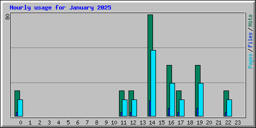 Hourly usage for January 2025