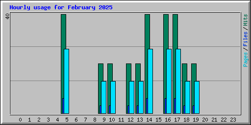 Hourly usage for February 2025