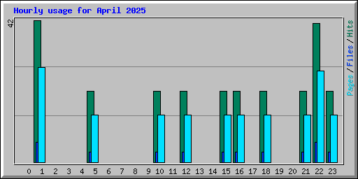 Hourly usage for April 2025