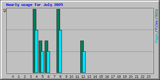 Hourly usage for July 2025