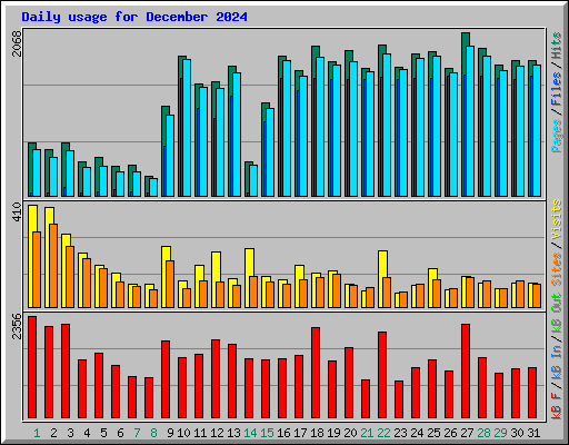 Daily usage for December 2024