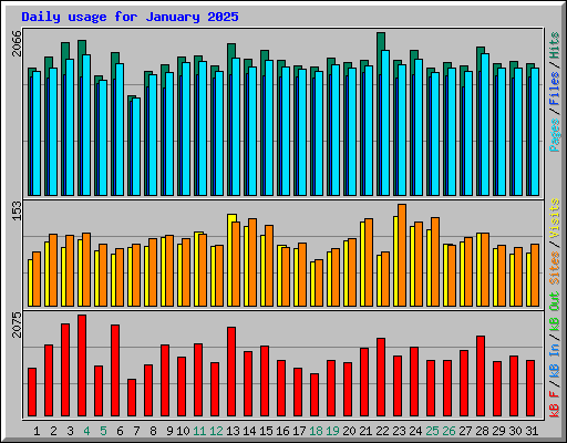 Daily usage for January 2025