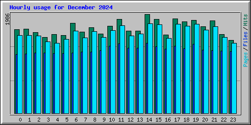 Hourly usage for December 2024