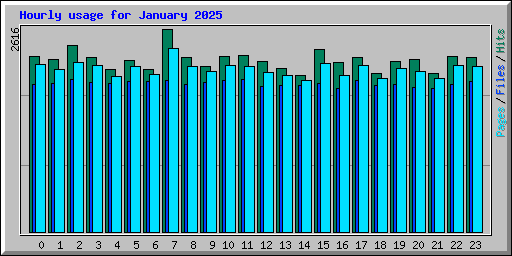 Hourly usage for January 2025