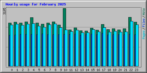 Hourly usage for February 2025