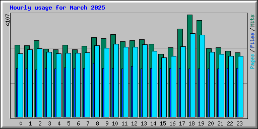 Hourly usage for March 2025
