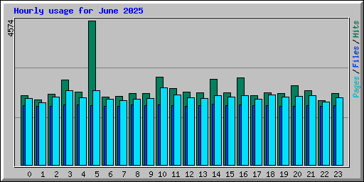Hourly usage for June 2025