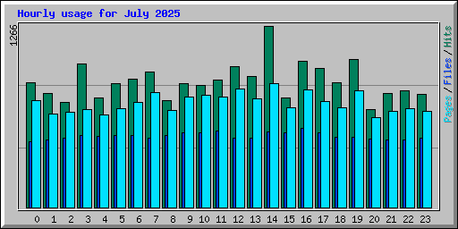 Hourly usage for July 2025