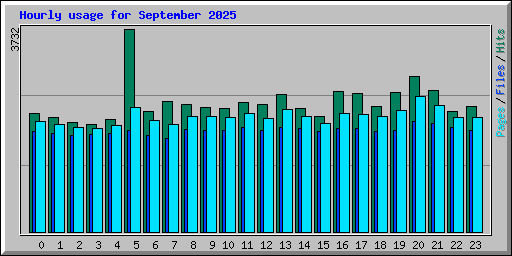 Hourly usage for September 2025
