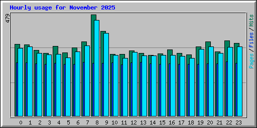 Hourly usage for November 2025