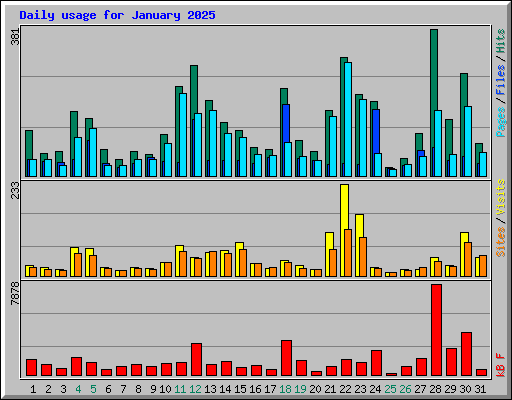 Daily usage for January 2025
