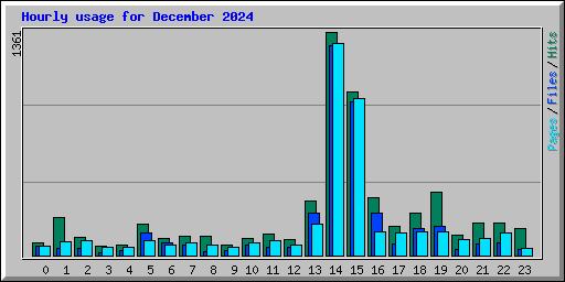Hourly usage for December 2024