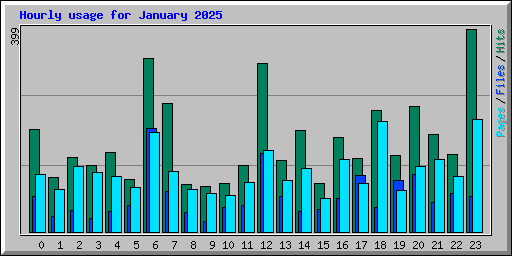 Hourly usage for January 2025