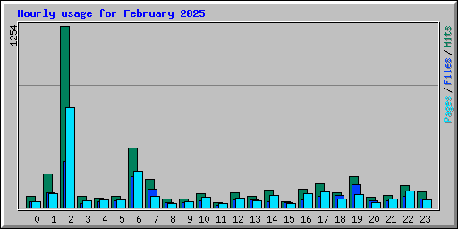 Hourly usage for February 2025