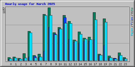 Hourly usage for March 2025